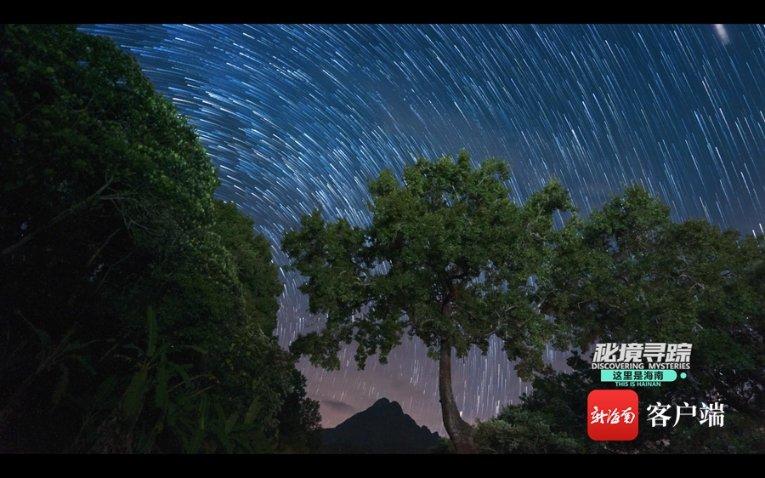陇南公安破获1起特大跨境网络赌博案
