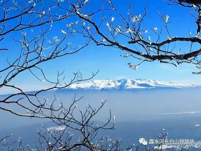 小公主大改造