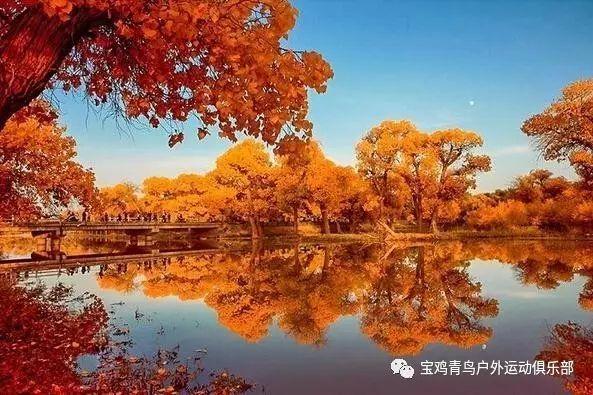 救援鹦鹉
