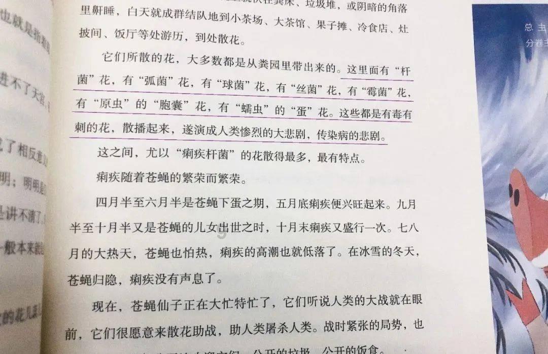女排主力选手被永久除名,郎平曾找她促膝长谈,她却选择前往美国