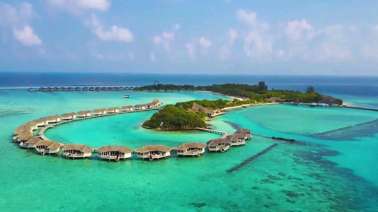 逃离鱼店