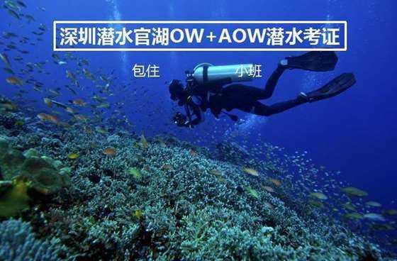 好听古诗词游戏画面