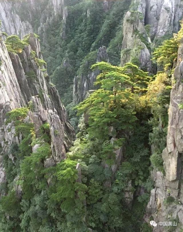 小萌妹的甜美装扮