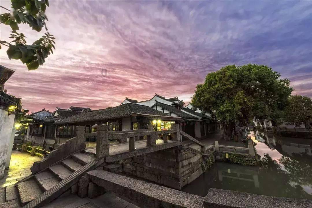 创作猫