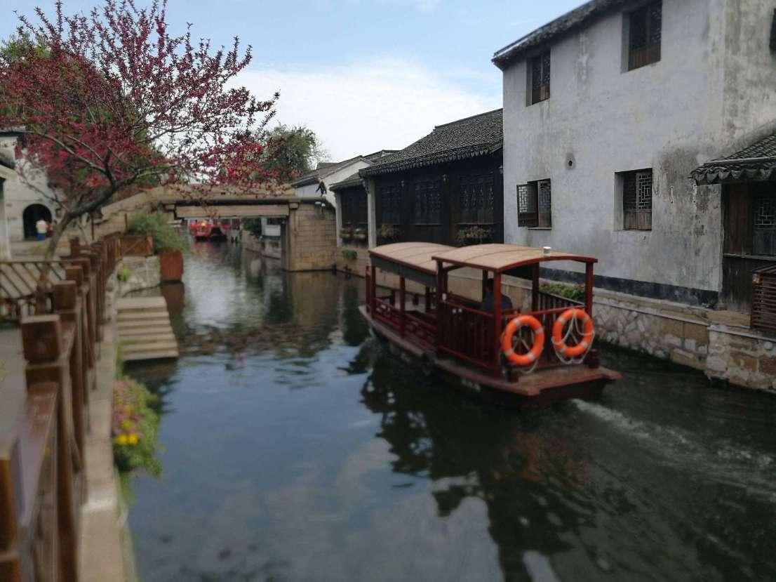 超火女主胎穿古言文：一朝穿成小粉团，还吃着奶呢就被王爷买走了